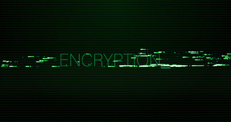 Fototapeta premium Image of interference over encryption text on black background