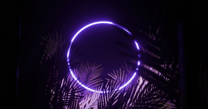 Image of leaves over blue neon circle on black background