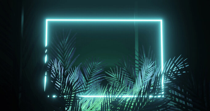 Image of leaves over blue neon rectangle on black background