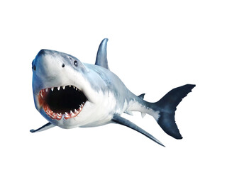 Fototapeta premium Shark with open jaws closeup. Isolated on white.