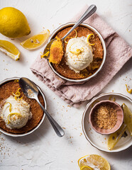 dessert cake still life with ice cream and lemon