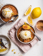 dessert cake still life with ice cream and lemon