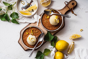 dessert cake still life with ice cream and lemon