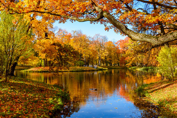 Golden autumn (fall) in Alexander park, Tsarskoe Selo (Pushkin), Saint Petersburg, Russia