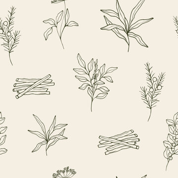 Hand drawn medicinal plants and ayurvedic herbs seamless pattern