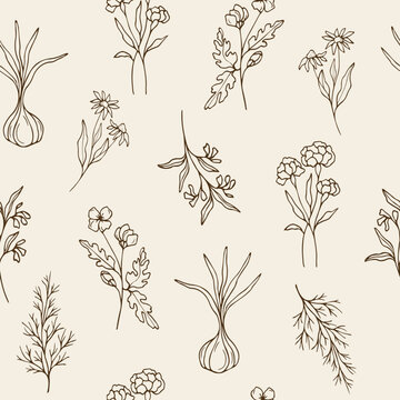 Hand drawn essential oil plants seamless pattern. Sketch garlic, carnation, black-eyed susan, celandine, dill, comfrey