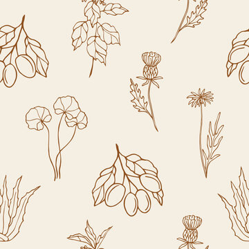 Hand drawn medicinal plants and flowers seamless pattern