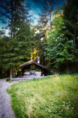 H&uuml;tte im Wald