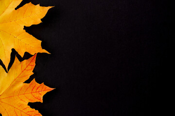 Bright orange maple autumn leaves on a black background.Creative autumn flat lay.Copy space,top view.