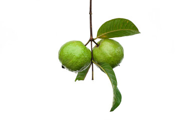 Fresh guava fruit isolated on white background.
