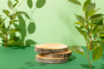 Minimal modern product display on green background. Wood slice podium and green leaves. Concept...