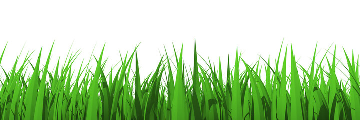 Fototapeta na wymiar Grass profile view isolated - 3d rendering