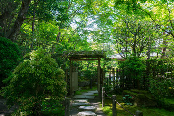 京都　南禅寺の塔頭寺院　天授庵の新緑