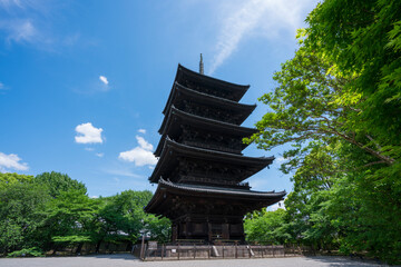 京都　東寺の五重塔　新緑