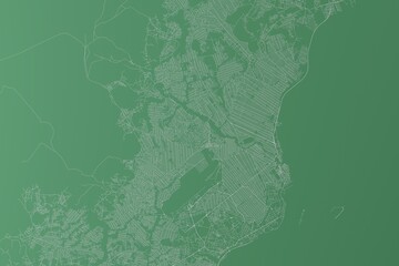 Stylized map of the streets of Brazzaville (Congo) made with white lines on green background. Top view. 3d render, illustration