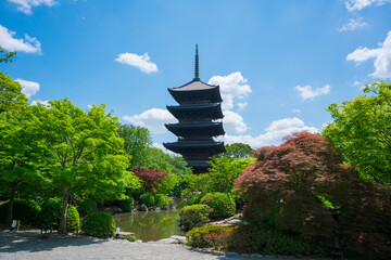 Fototapeta premium 京都 東寺の五重塔 新緑 