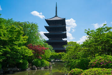 京都　東寺の五重塔　新緑　