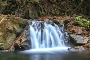 Waterfall Kamyanka in the Carpathian mountains. - obrazy, fototapety, plakaty