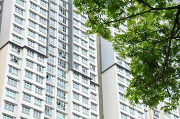 High-rise residential flat white apartments with tropical raintrees in Singapore