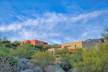 Fototapeta na wymiar Mediterranean houses on a slope with wild plants at Tucson, Arizona