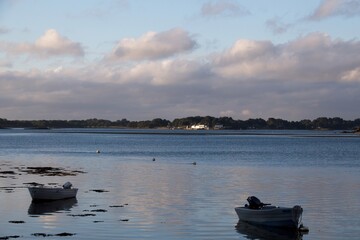 boats in the harbor at sunset