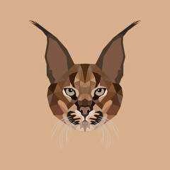 The Caracal Polygon Illustration 
