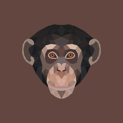 The Chimpanzee Polygon Illustration 