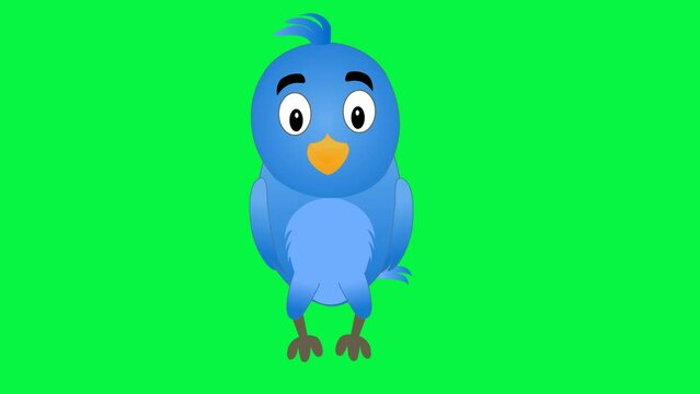 Blue Bird sitting on green screen. Cute Blue Bird cartoon animation with alpha channel. Key color, alpha channel. 4K video