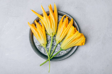 Zucchini or courgette flowers on gray stone background