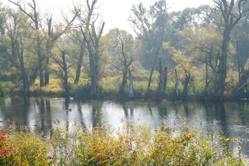 Danube river in Bavaria 