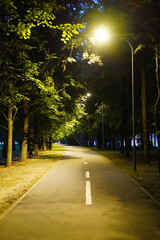 City park in the night with a road and street lights, vertical frame