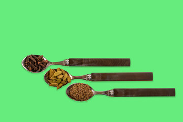 Concept image with spoons containing cloves cumin seeds and cardamon cardamom pods on a colourful green mint background
