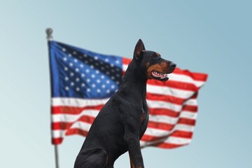 Lovable, pretty dog and American Flag. Congratulations for family, loved ones, relatives, friends and colleagues. Pets care concept