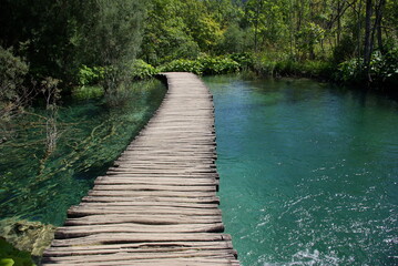 Obraz premium Pomost na jeziorze wokół krystalicznie czysta woda, Plitwickie Jeziora Chorwacja