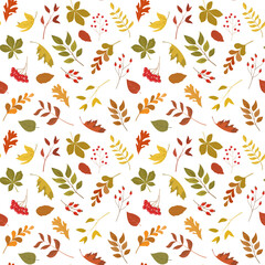 Autumn forest leaves and berries seamless pattern. Seasonal vector illustration. Fall season specific vector background. Perfect for greetings, invitations, wrapping paper, textile.