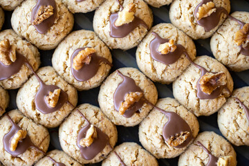 Walnut cookies. Freshly baked chocolate walnut cookies in a tray. close up