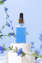 Cosmetic bottle with dropper pipette with serum or essential oil on podium with chicory flowers. Skin care cosmetic. Beauty concept for face body care
