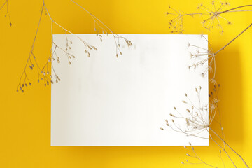 autumn mockup, white blank paper page on yellow background with dry flowers