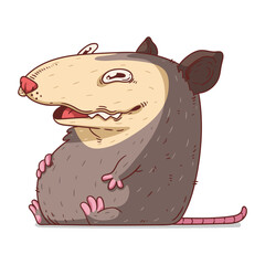 A Possum, isolated vector illustration. Funny cartoon picture for children of laughing opossum sitting. A humorous possum sticker. Simply drawn well-fed opossum on white background. A wild animal.
