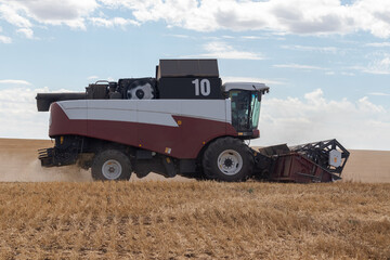 Wheat harvesting in the summer.  harvester working in the field