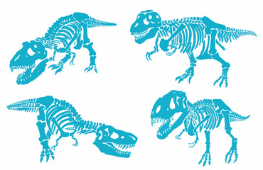Graphical color set silhouettes of dinosaur skeletons isolated on white background,vector  illustration © Алексей Воробьёв
