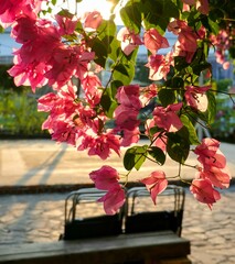 Pink flowers in the afternoon sun