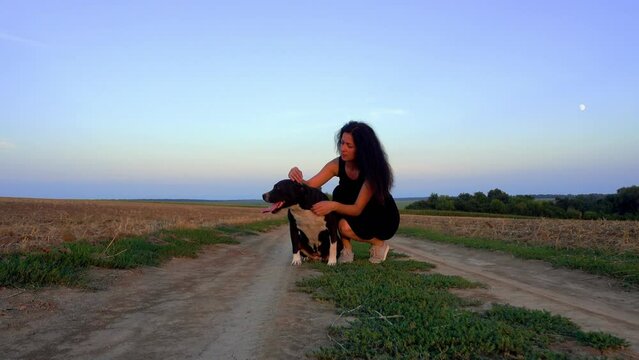 A beautiful young woman walks with a Staffordshire Terrier in a field. Happy free girl on a walk with a dog in nature. The concept of happiness, freedom, pets.