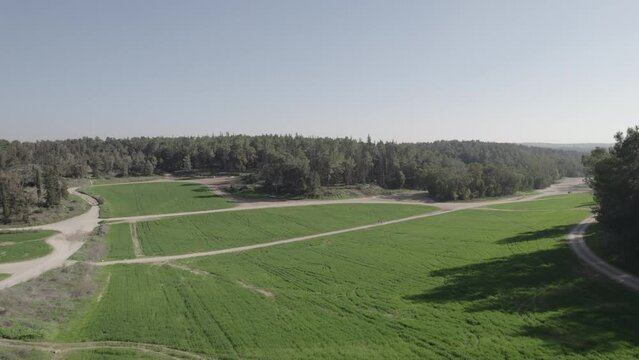 Drone flies over a green wheat field In the center of a large forest to above forest tree line - PUSH IN SHOT (dji D-LOG file)