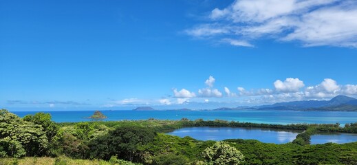 Fototapeta na wymiar 하와이 풍경 4