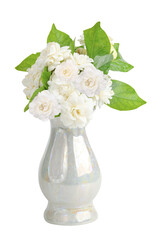 jasmine flower on the jug