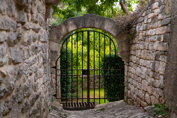 Old gate of a historic Garden with warm sunlight illuminating the green fig tree foliage on a...