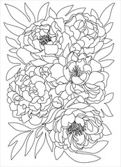 Black and white illustration of large flowers. Coloring antistress peonies. Vector.