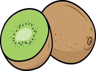 Kiwi vector illustration. Fruit image or clip art.