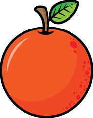 Orange vector illustration. Fruit image or clip art.